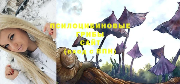 мескалин Баксан