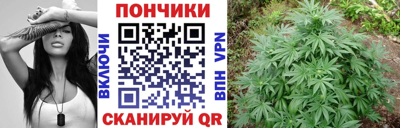 что такое наркотик  Буинск  Бошки Шишки конопля 